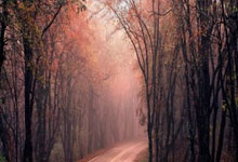 结果出炉！2025亚足联女子五人制足球亚洲杯中国队落位A组央视新闻客户端.