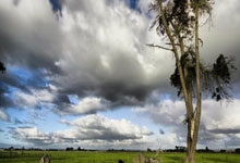 [CBA]琼斯中路持球进攻分远投手起刀落.