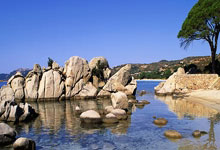 哈尔滨准备好了（走向亚冬会）——写在第九届亚洲冬季运动会开幕倒计时30天之际人民日报.